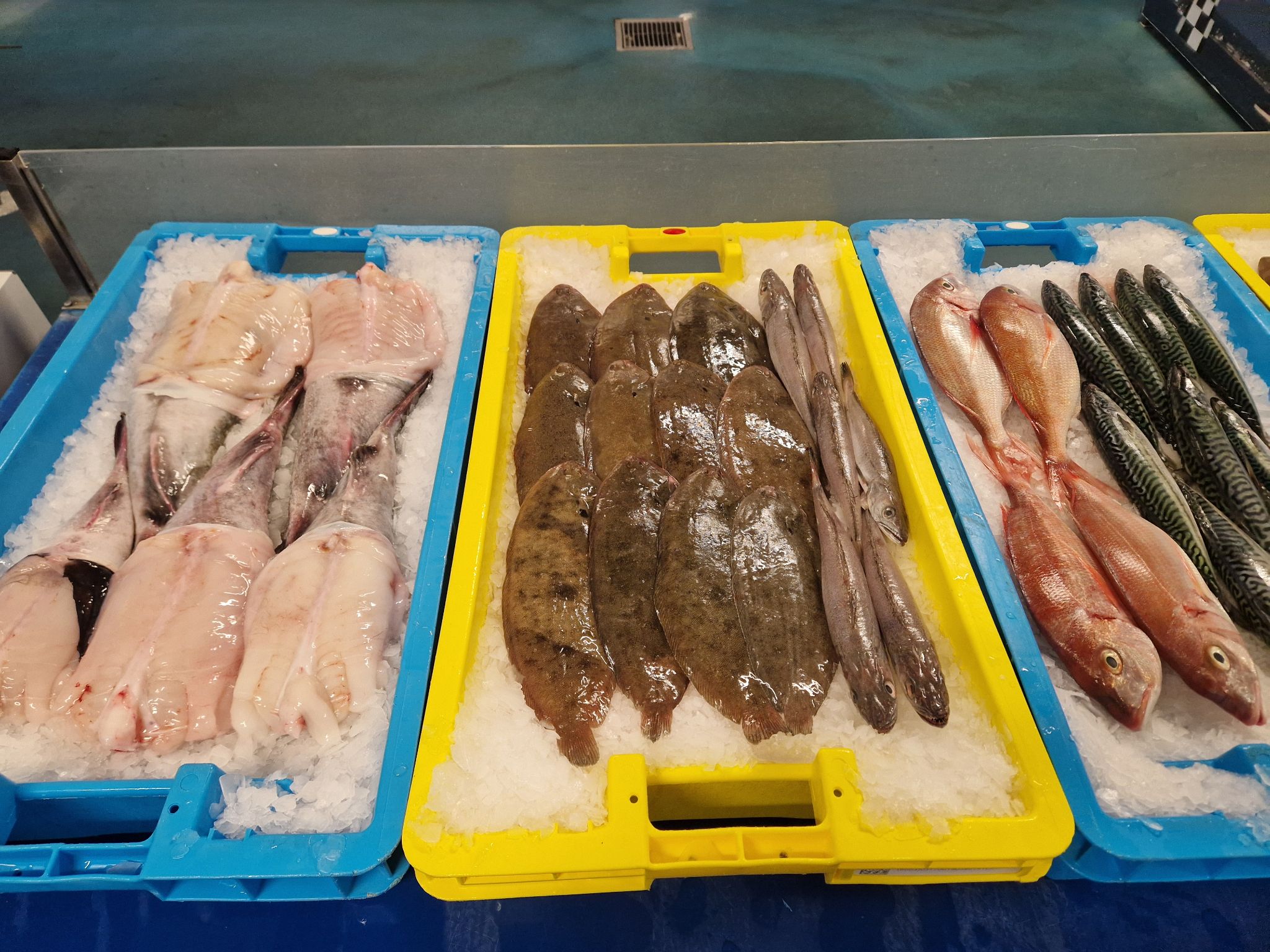 Poissonnerie Loctudy Paul ar Morgazh