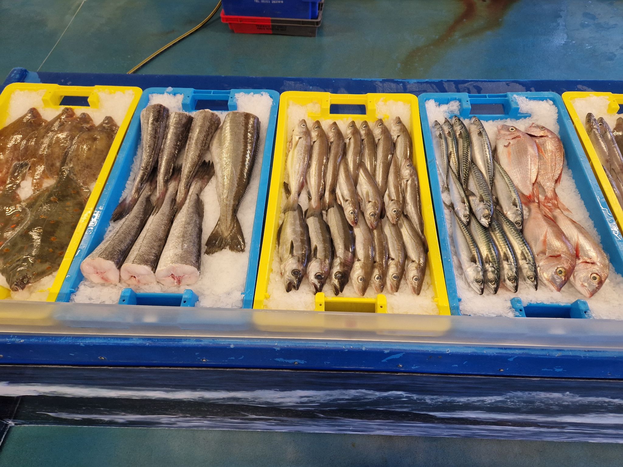 Poissonnerie Loctudy Paul ar Morgazh